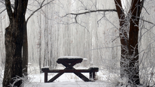 2020'de en soğuk il Ardahan, en sıcak il Şırnak oldu